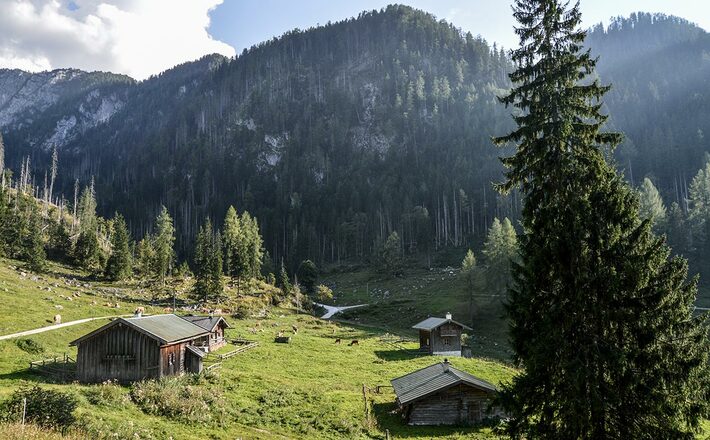 Das Gotzental