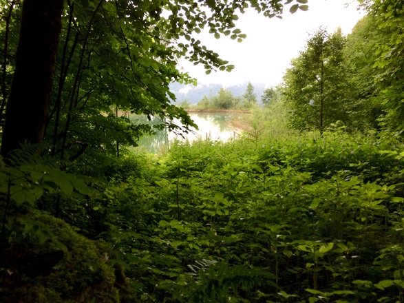 Montag, 25. Juni 2018, 16:21 Uhr