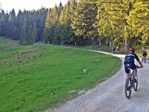 Stoißer Alm Mountainbiketour