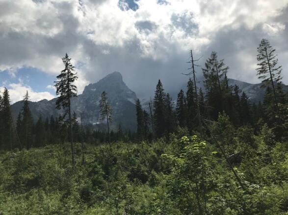 Blick auf den Watzmann