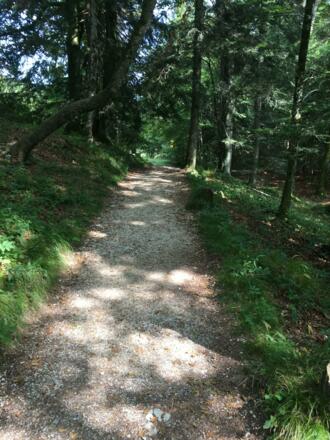 Wanderweg zur Kneifelspitze