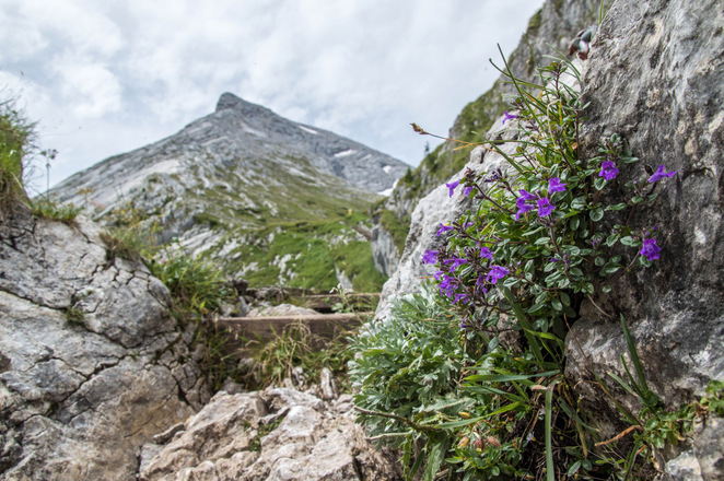 Weg zum Watzmannhaus