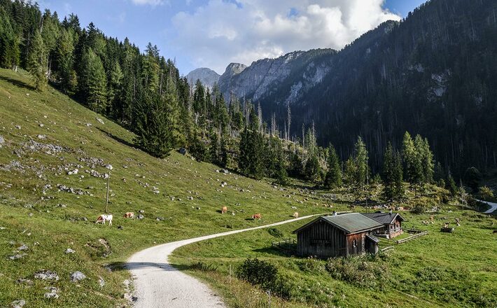 Die Gotzental-Alm auf halber Strecke