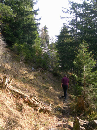 entlang des Westkammes