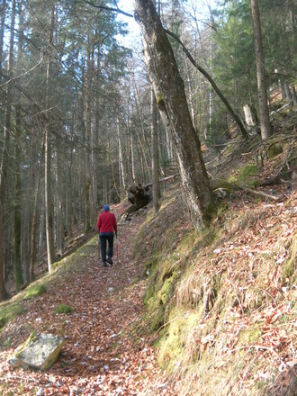 Hohlweg