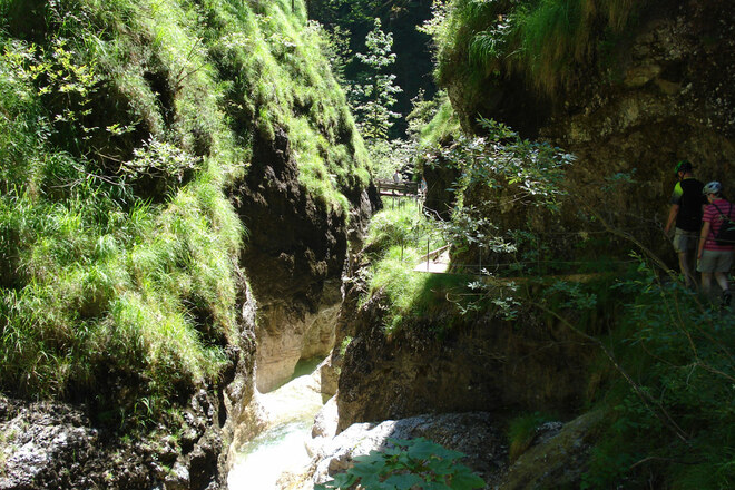 wildromantische Schlucht Almbachklamm