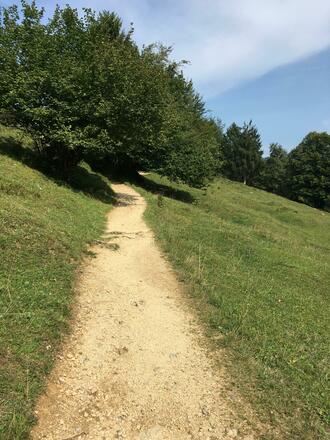 Wanderweg zur Kneifelspitze