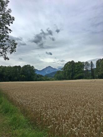Stegrunde