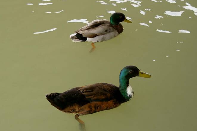 Freilassinger Radrundweg