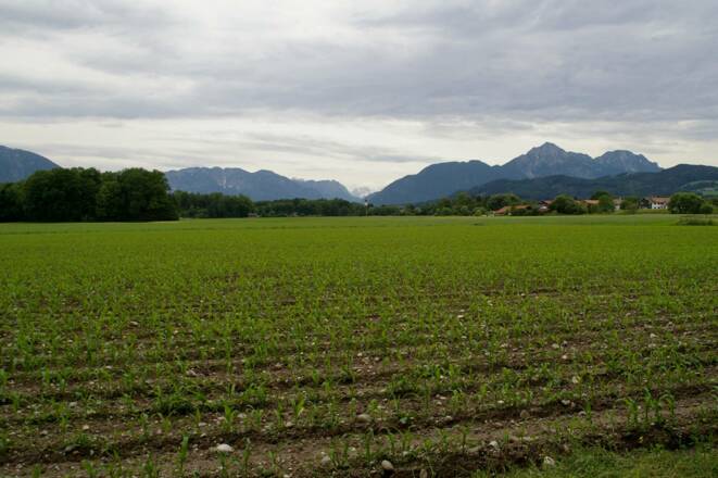 Freilassinger Radrundweg