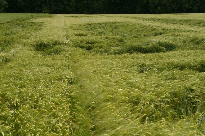 Freilassinger Radrundweg