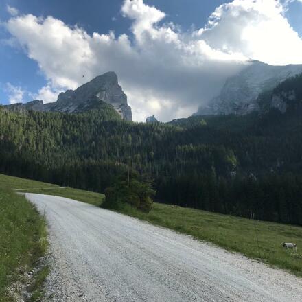 Forststrasse zur Alm mit Blick auf den Watzmann