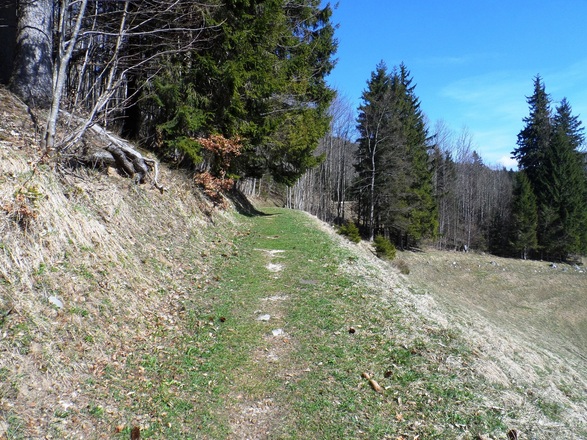 Wiesenweg zum Zinkenkogel