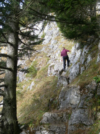 steile Schrofenflanke