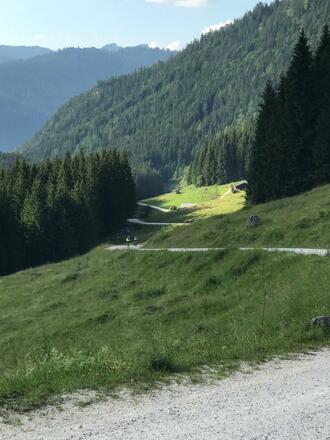 Forststrasse zur Alm