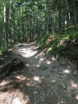 Wanderweg zur Kneifelspitze