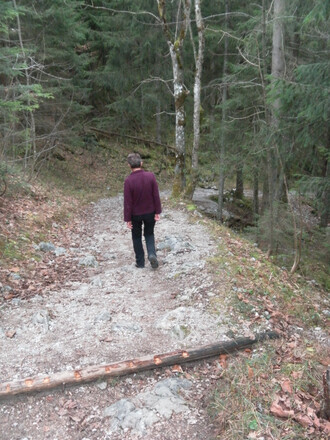 Karrenweg zur Scharitzkehlalm