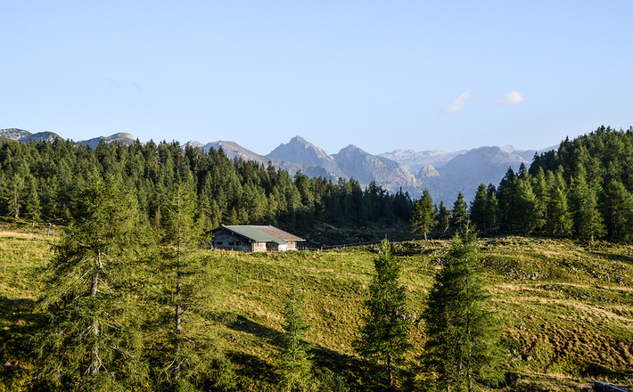 Kaser auf der Gotzenalm