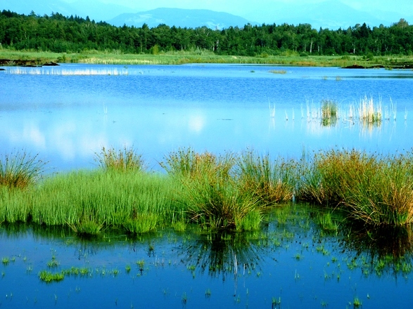 Erlebnispfad im Ainringer Moos