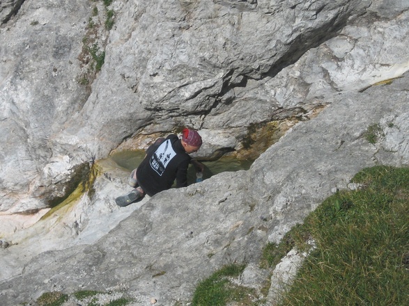 Goldbründl bei wenig Wasser