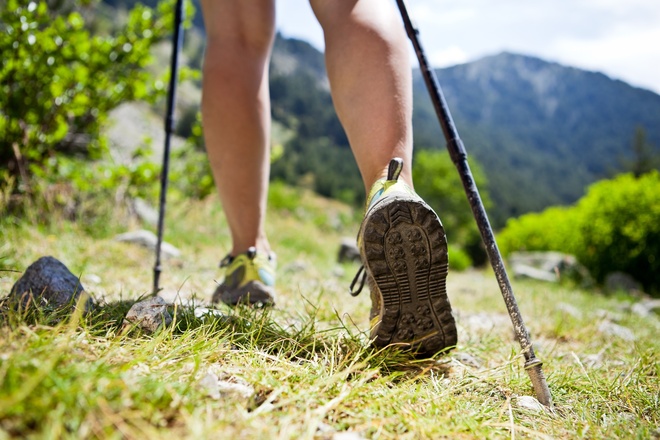 Nordic Walking Ainring und Wals