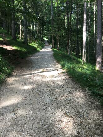 Wanderweg zur Kneifelspitze