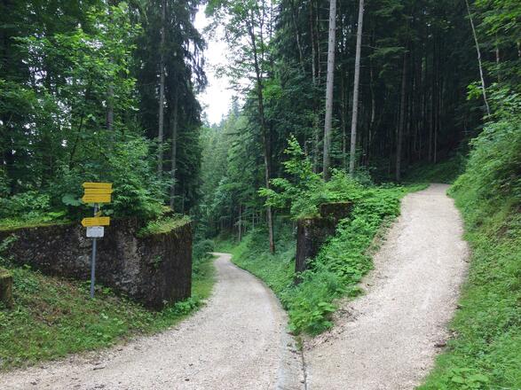 Montag, 25. Juni 2018, 16:22 Uhr