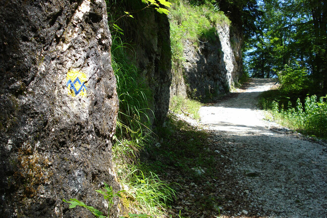 Schattenspender an heißen Sommertagen