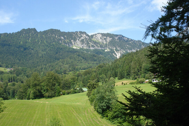 Am Bachwaldweg in Blickrichtung Rauer Kopf