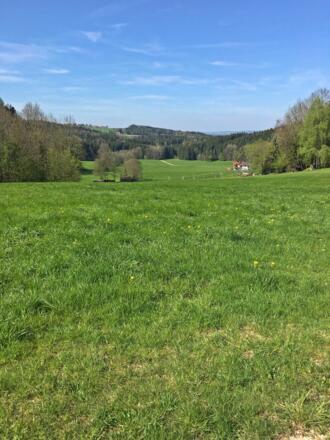 Blick Richtung Ainring