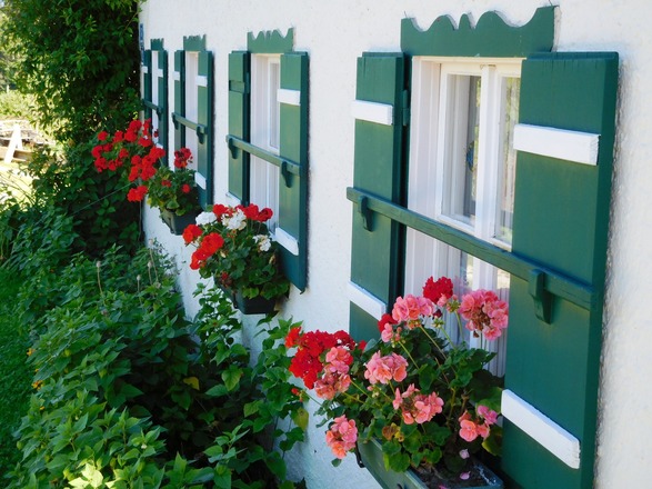 Ländliche Idylle am Dürrnberg