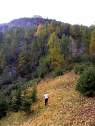 am Wiesenrücken vor dem Schrofensteig