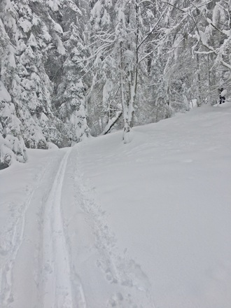 Waldskitour aufs Rossfeld 