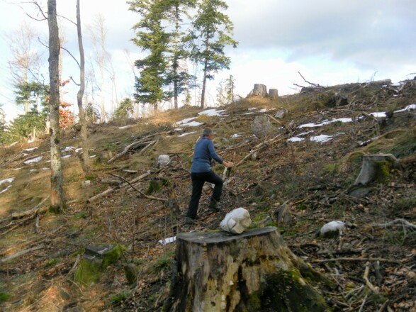 am Rand des Gipfelplateaus