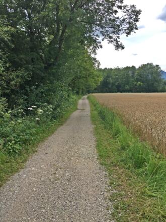 Stegrunde