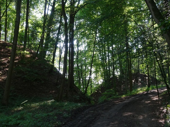 Wolfsbühl, Teil des Einsiedelbuckel - eine Hügellandschaft von Menschenhand erschaffen