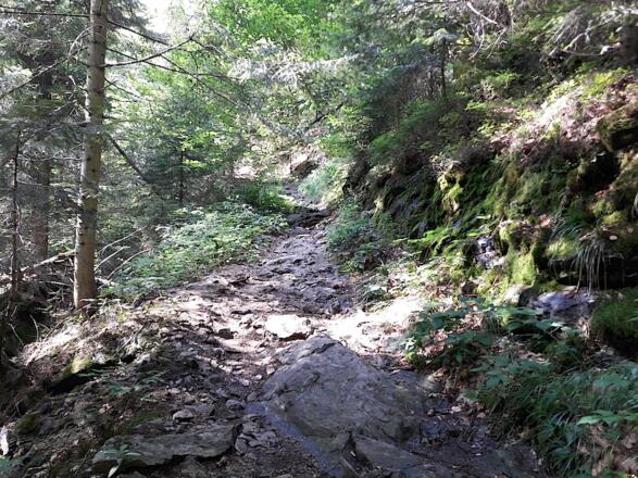 Steiniger Weg rechts des Baches