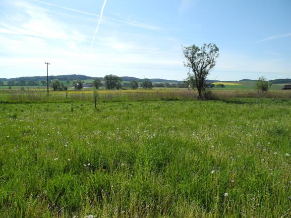 Landschaft im Labertal