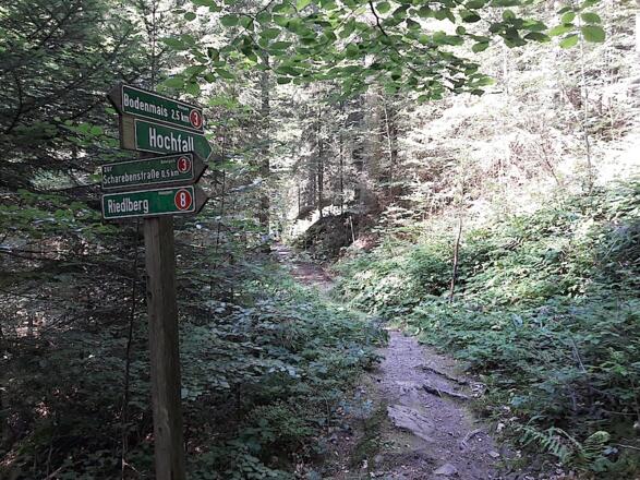 Stichweg zum Hochfall