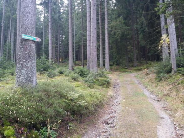 Wanderweg hinter dem Startpunkt