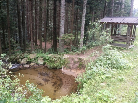 Kleiner See am Rasthäuschen