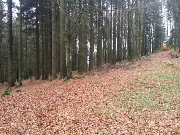 An der Wegzweigung rechts halten