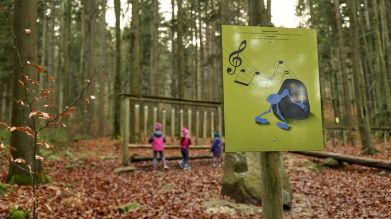 Unterwegs auf der Ameisenstraße