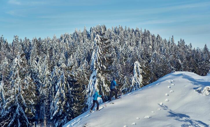 Schneeschuhwandern auf den Bodenmaiser Hausberg