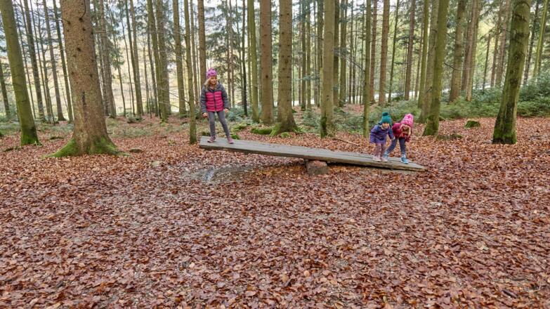 Unterwegs auf der Ameisenstraße