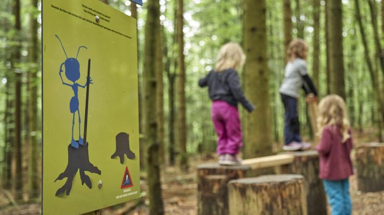 Beschilderung Ameisenstraße