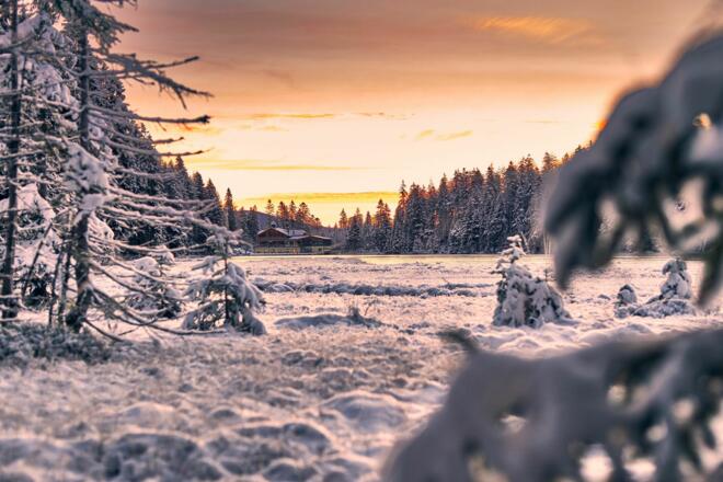 Der Große Arbersee im Winter
