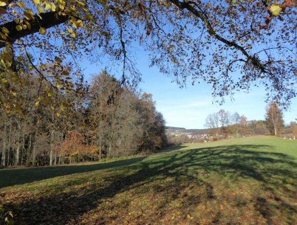 Aussicht bei Sankt Johann