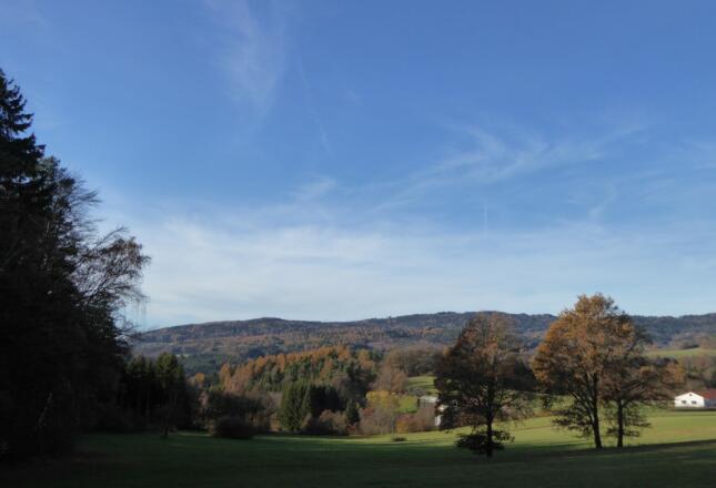 Aussicht auf Saulburg