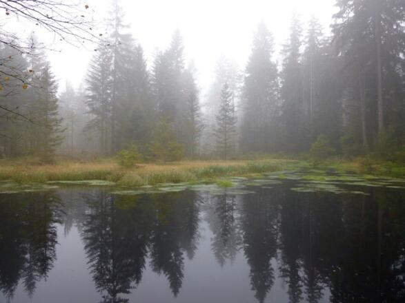 Grimmeisenweiher